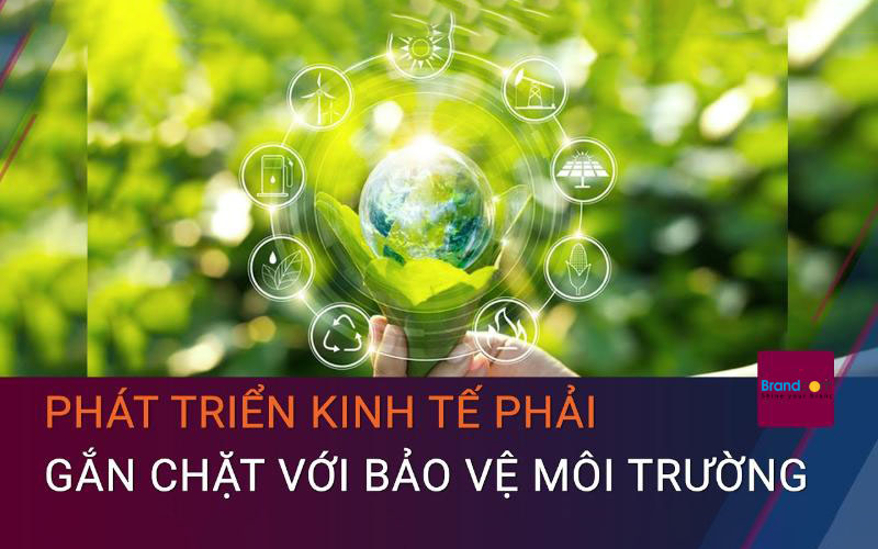 Những loại hình quảng cáo nào được chiếu?