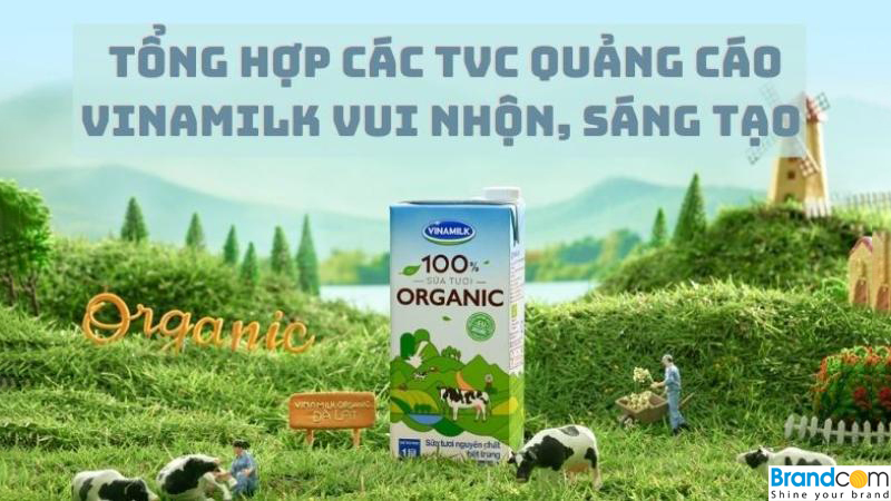 Chiến lược quảng cáo